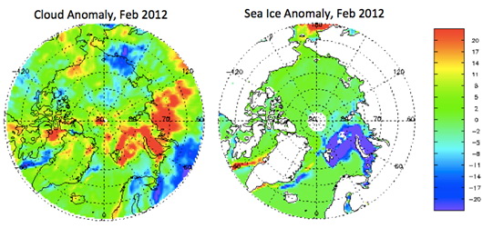 Cloud cover and sea ice concentration anomalies