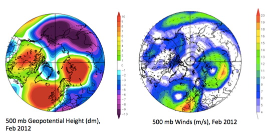 Geopotential height and wind field anomalies