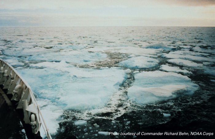 Ice floes in the northern Bering Sea