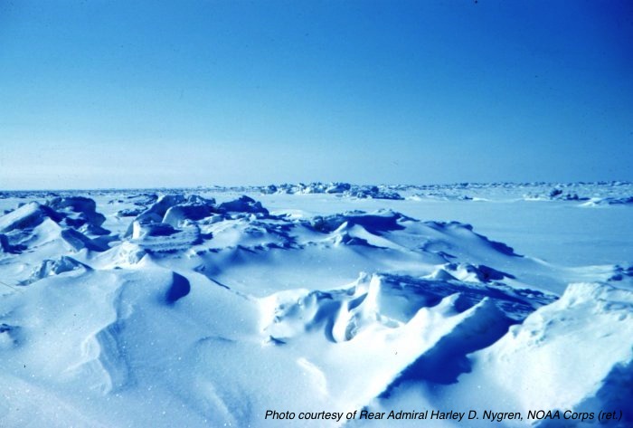 Winter sea ice terrain of the Beaufort Sea