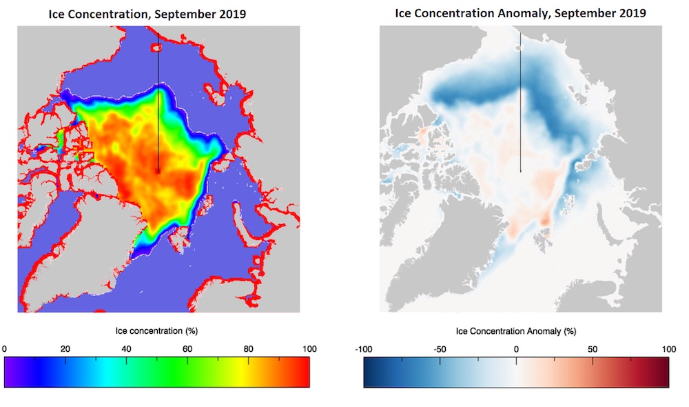 2019 Sea Ice Assessment