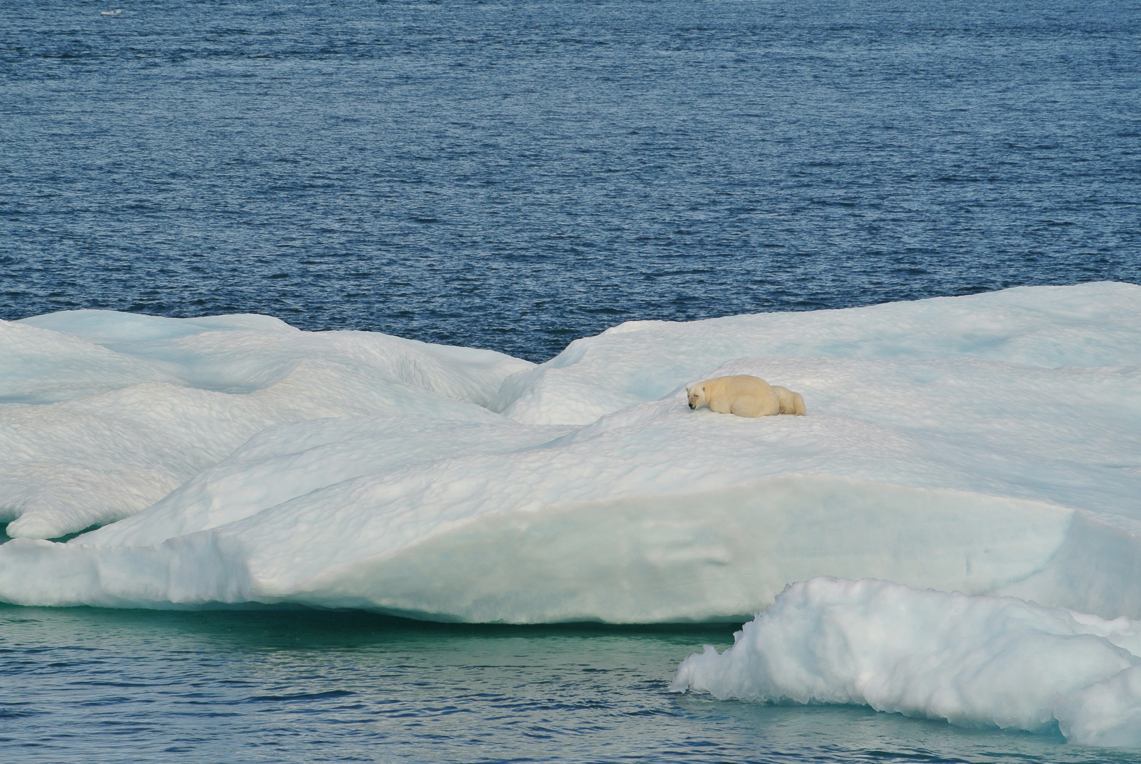 white ice on body of water floating during daytime