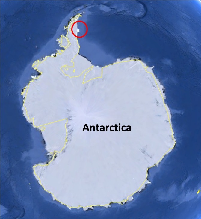 Larsen C Ice Shelf Sheds a Big One!